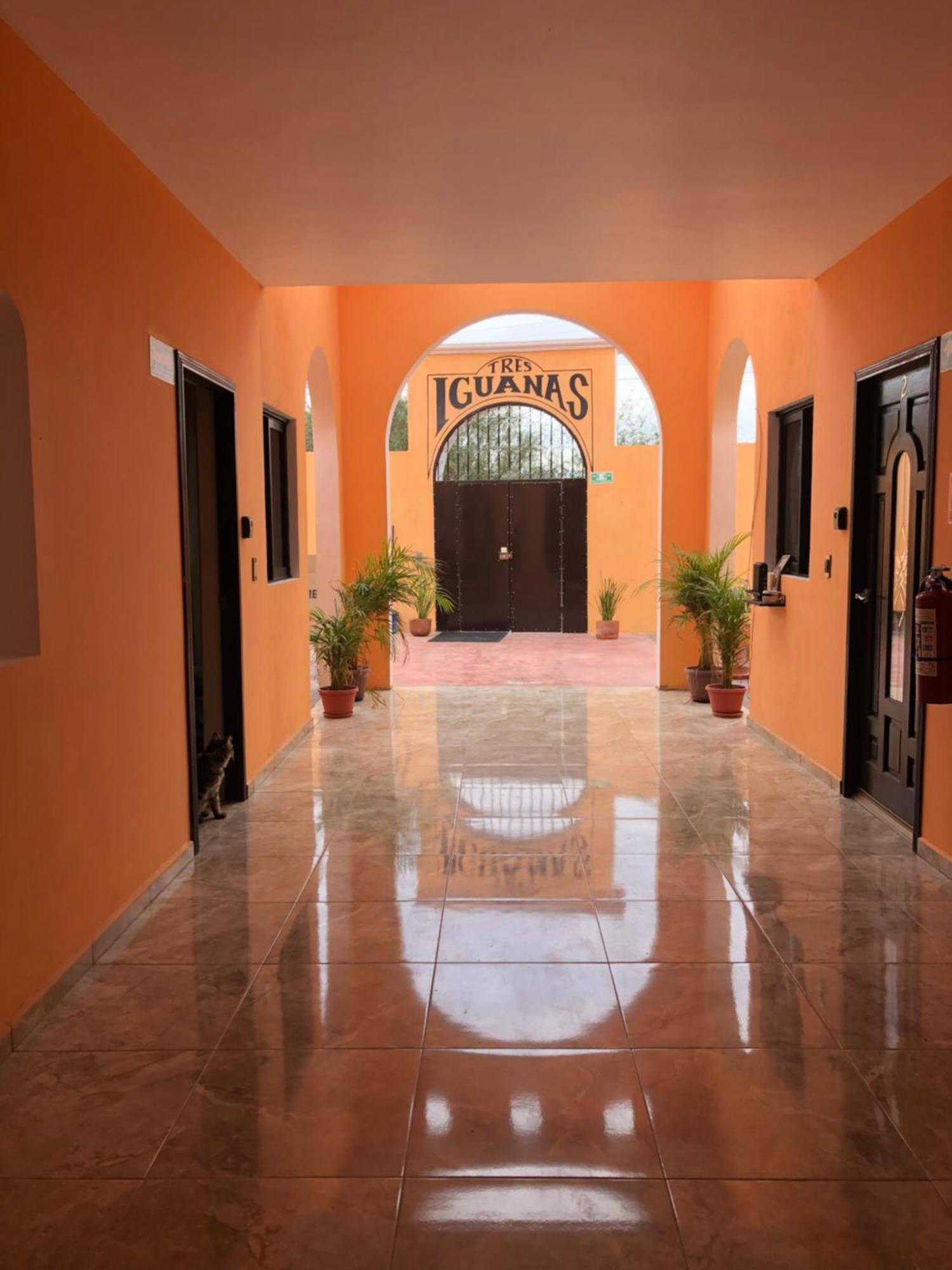 Tres Iguanas Apart Hotel - New, Cozy & Spacious Flats, Short Walk To Beach Loreto  Dış mekan fotoğraf