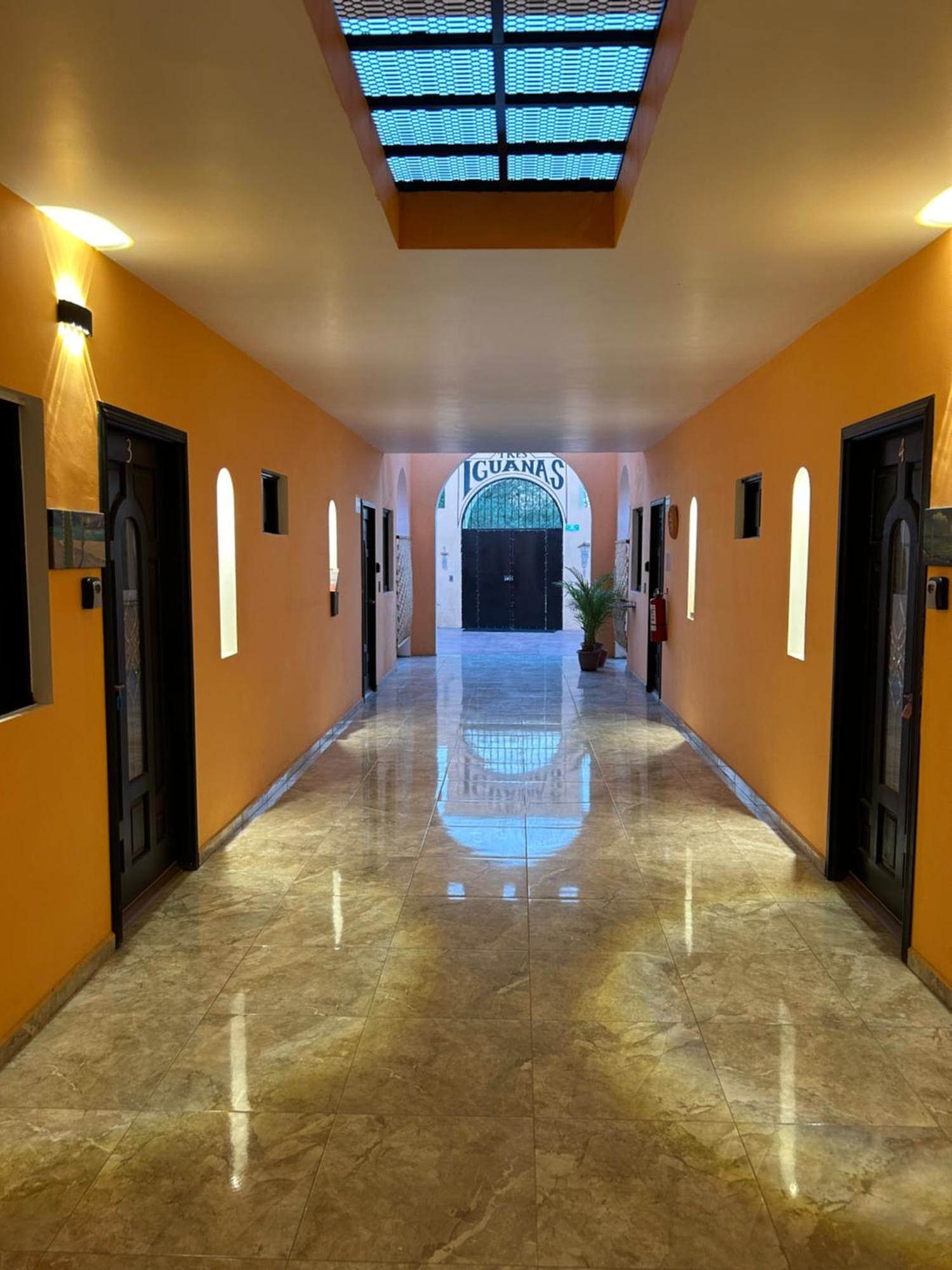 Tres Iguanas Apart Hotel - New, Cozy & Spacious Flats, Short Walk To Beach Loreto  Dış mekan fotoğraf