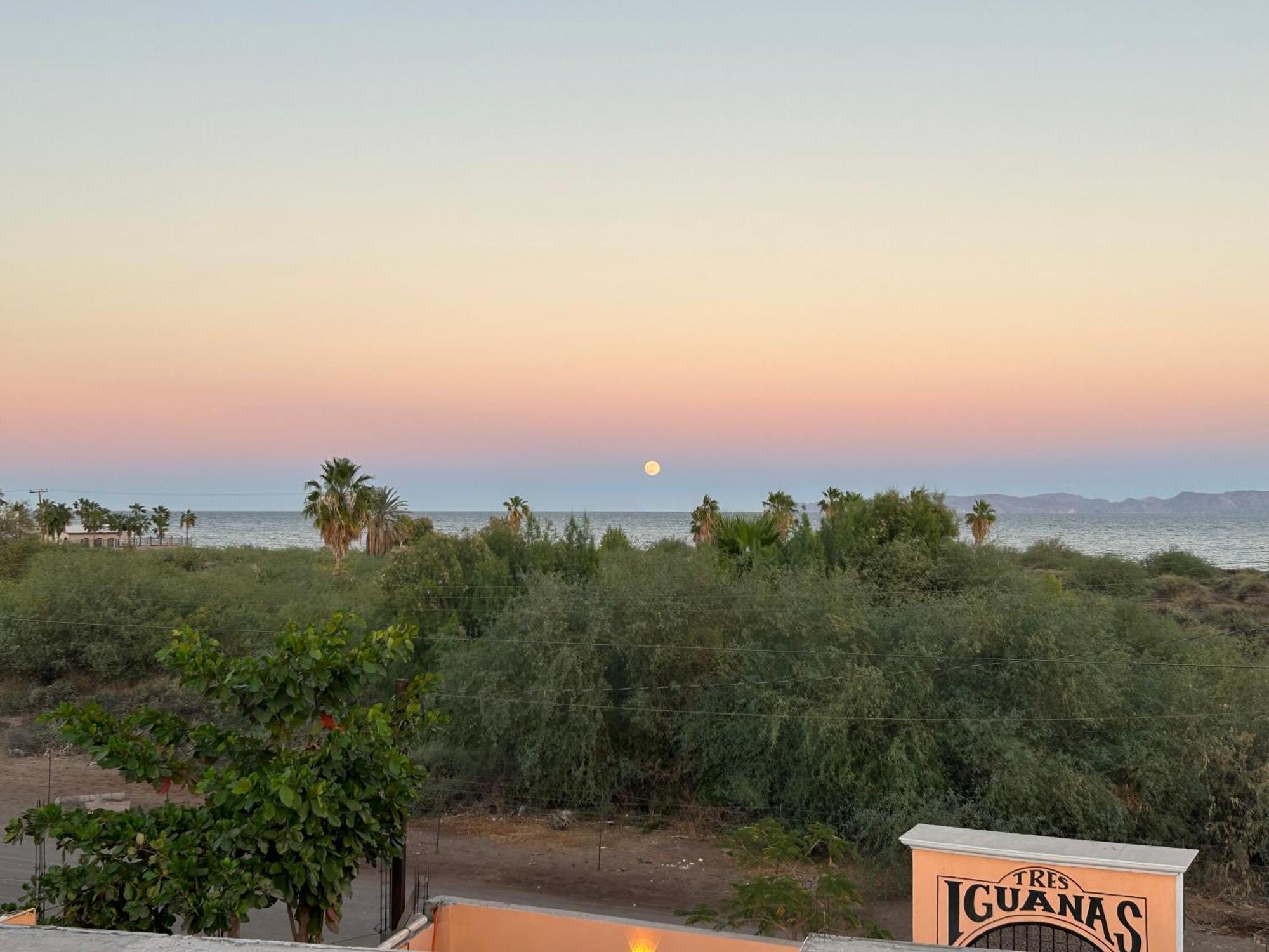 Tres Iguanas Apart Hotel - New, Cozy & Spacious Flats, Short Walk To Beach Loreto  Dış mekan fotoğraf